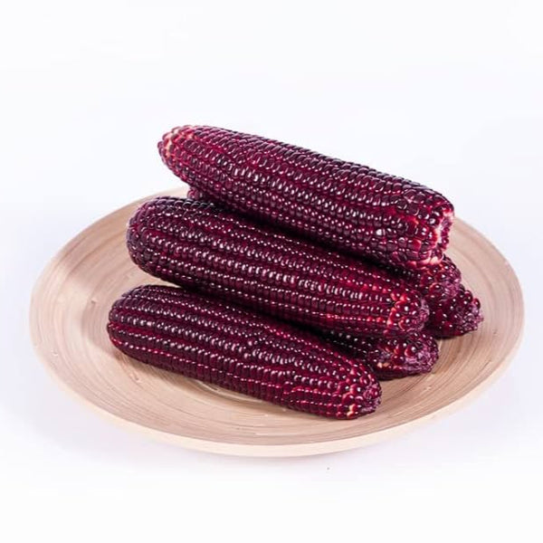 Red corn