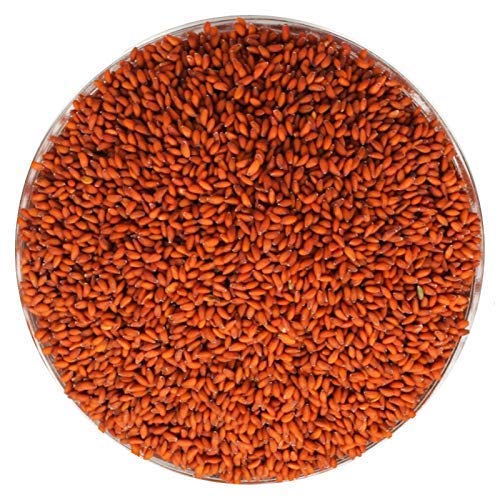 Halim seeds