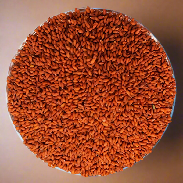 A close-up image of halim seeds, also known as Khus Khus, in a clear bowl displaying their orange-brown color.
