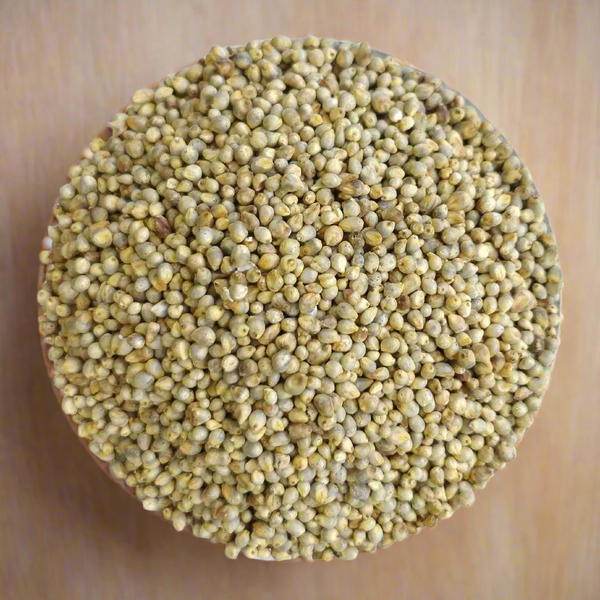 Pearl millet
