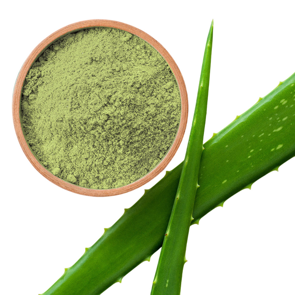 Aloe vera powder
